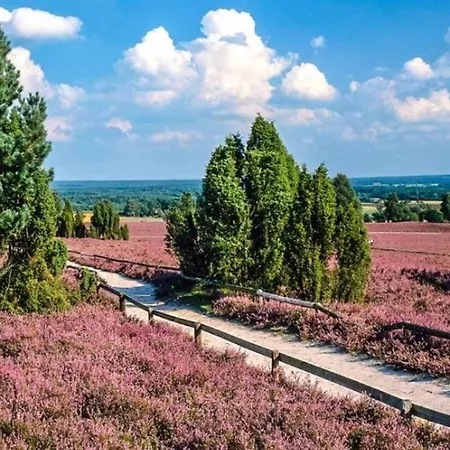 Appartement Dachgeschoss Nahe Heide